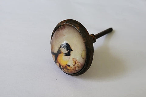 Glass metal retro vintage style shabby chic bird 4cm round door knobs BN g4b