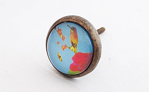 Metal glass vintage style shabby chic blue bird print 4cm round door knobs RC8