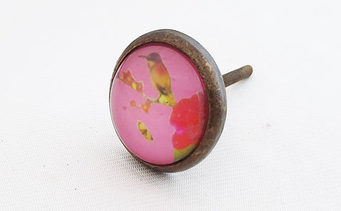 Metal glass vintage style shabby chic pink bird print 4cm round door knob
