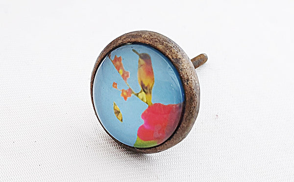 Metal glass vintage style shabby chic blue bird print 4cm round door knobs H6